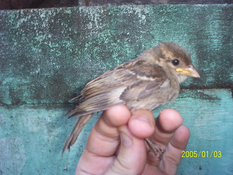 FIGURE 10 FIGURE 10